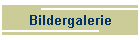 Bildergalerie